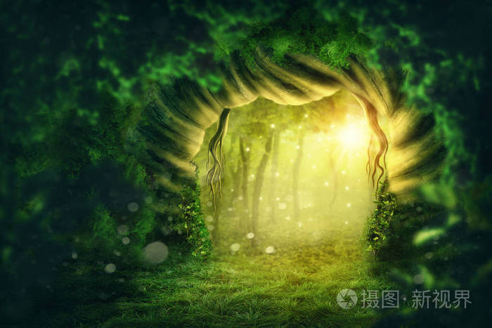 魔幻之旅：玛法大陆神奇纪事
