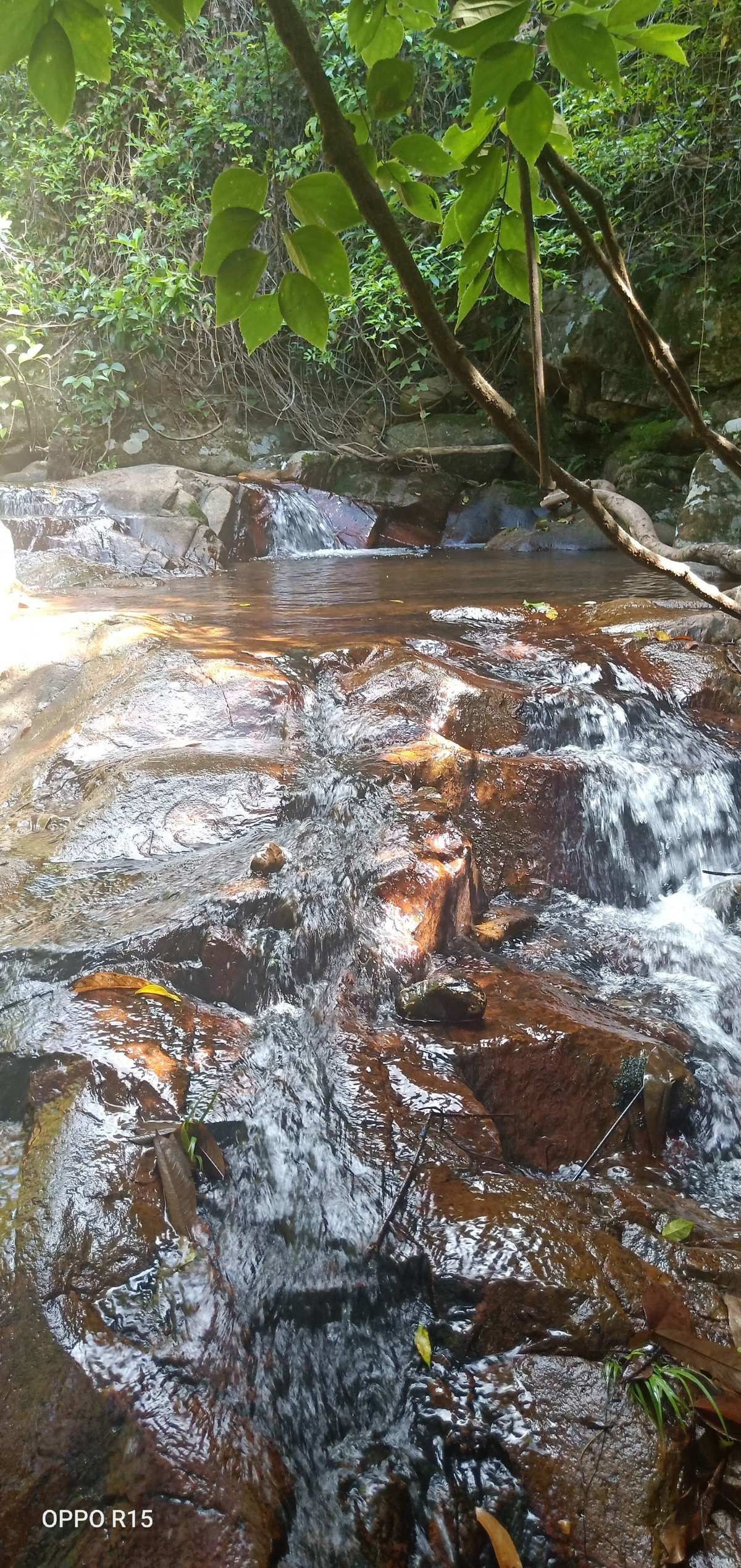 南门山森林公园入口_南门山森林公园几点关门_南门山森林公园