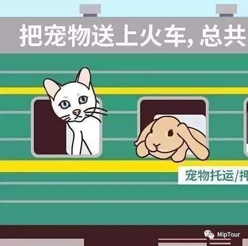 火车上可携带宠物!火车公司新政策发布 火车上可携带宠物!火车公司新政策发布
