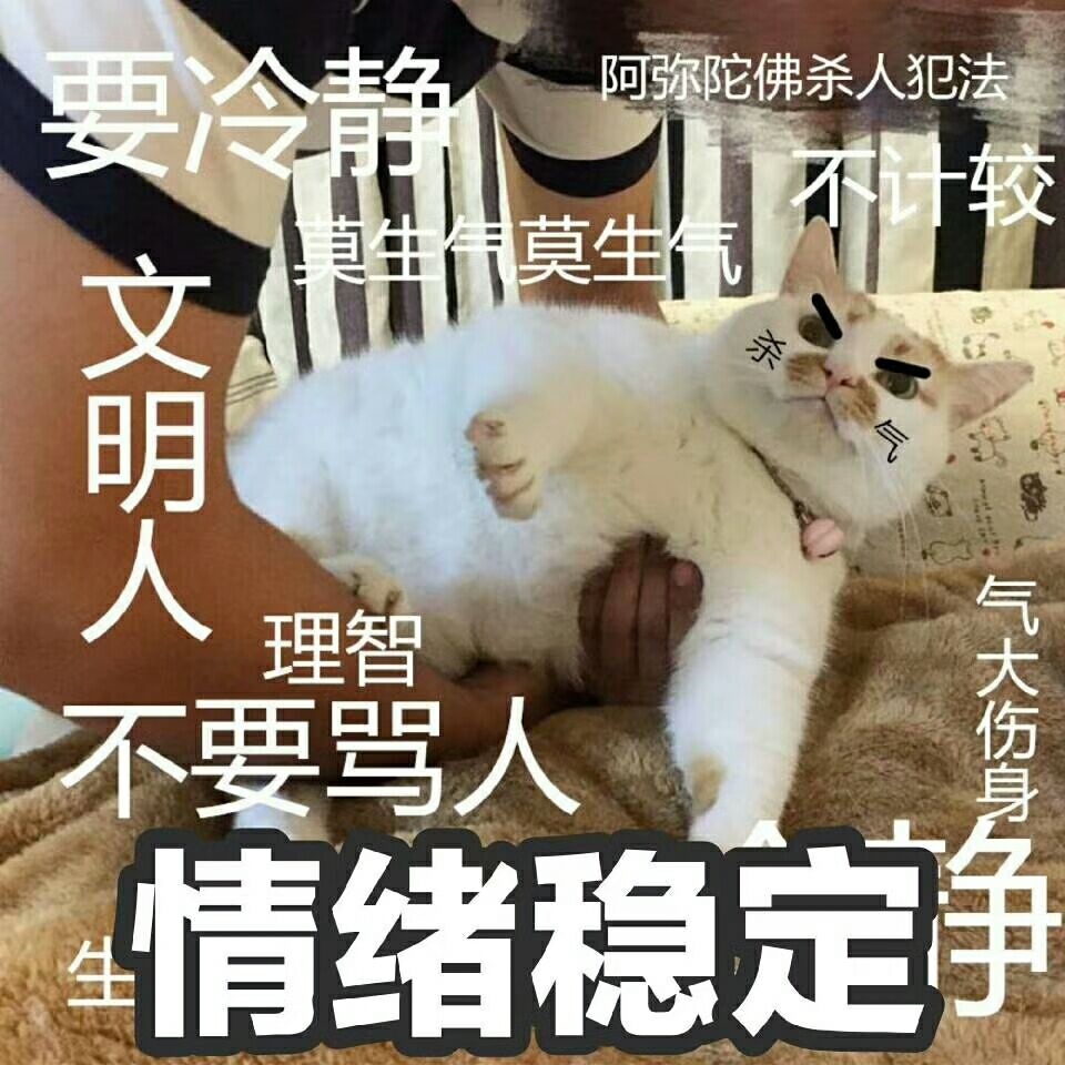 骂对面的游戏名字_可敬的对手在游戏中能显示骂_骂对面的游戏名