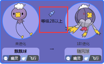 毛球进化：时尚宠物的崛起