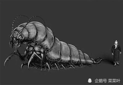 虾蛊时间到了_虾蛊时间到了太监了吗_虾蛊
