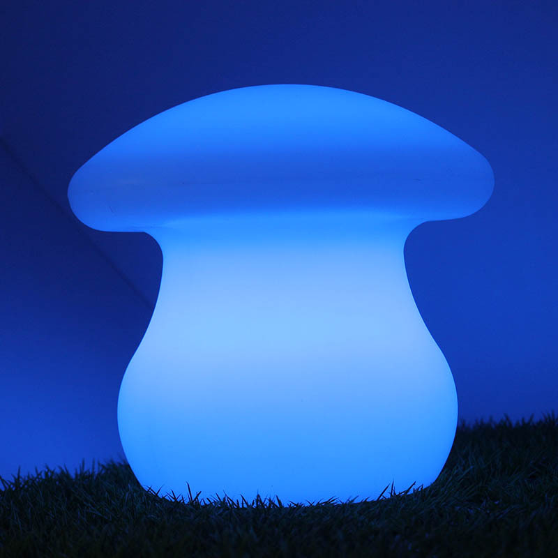 灯罩夜菇怎么打_灯罩夜菇_灯罩夜菇什么性格好