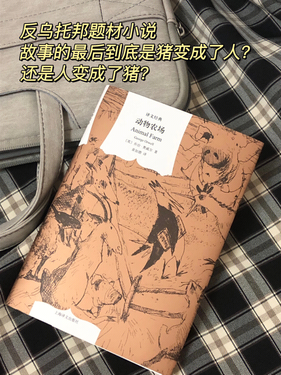巴克夏农场的小胖猪，肥嘟嘟的我在这里等你