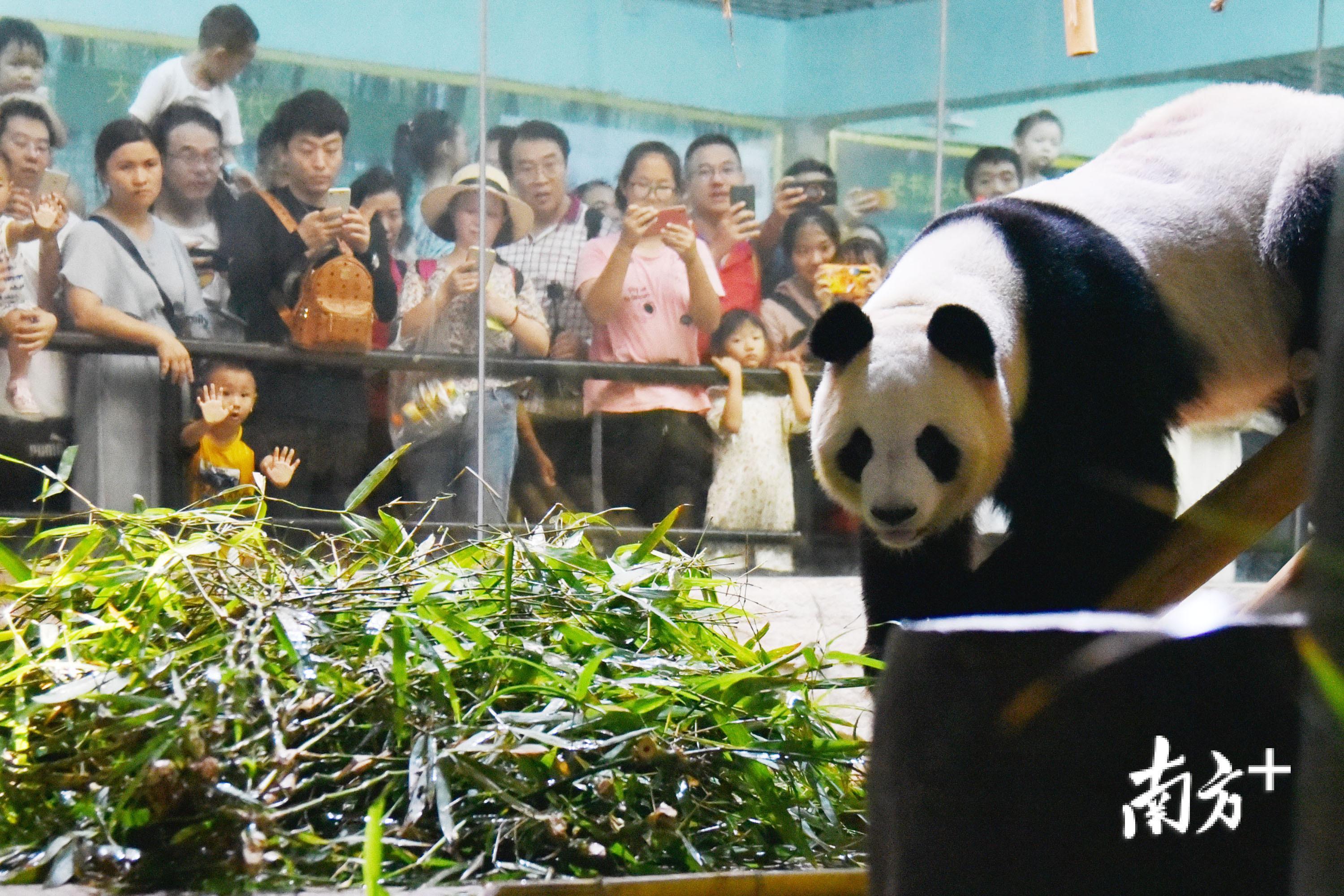 动物竞技场：第三届滨海国际（微）电影节精彩参赛影片
