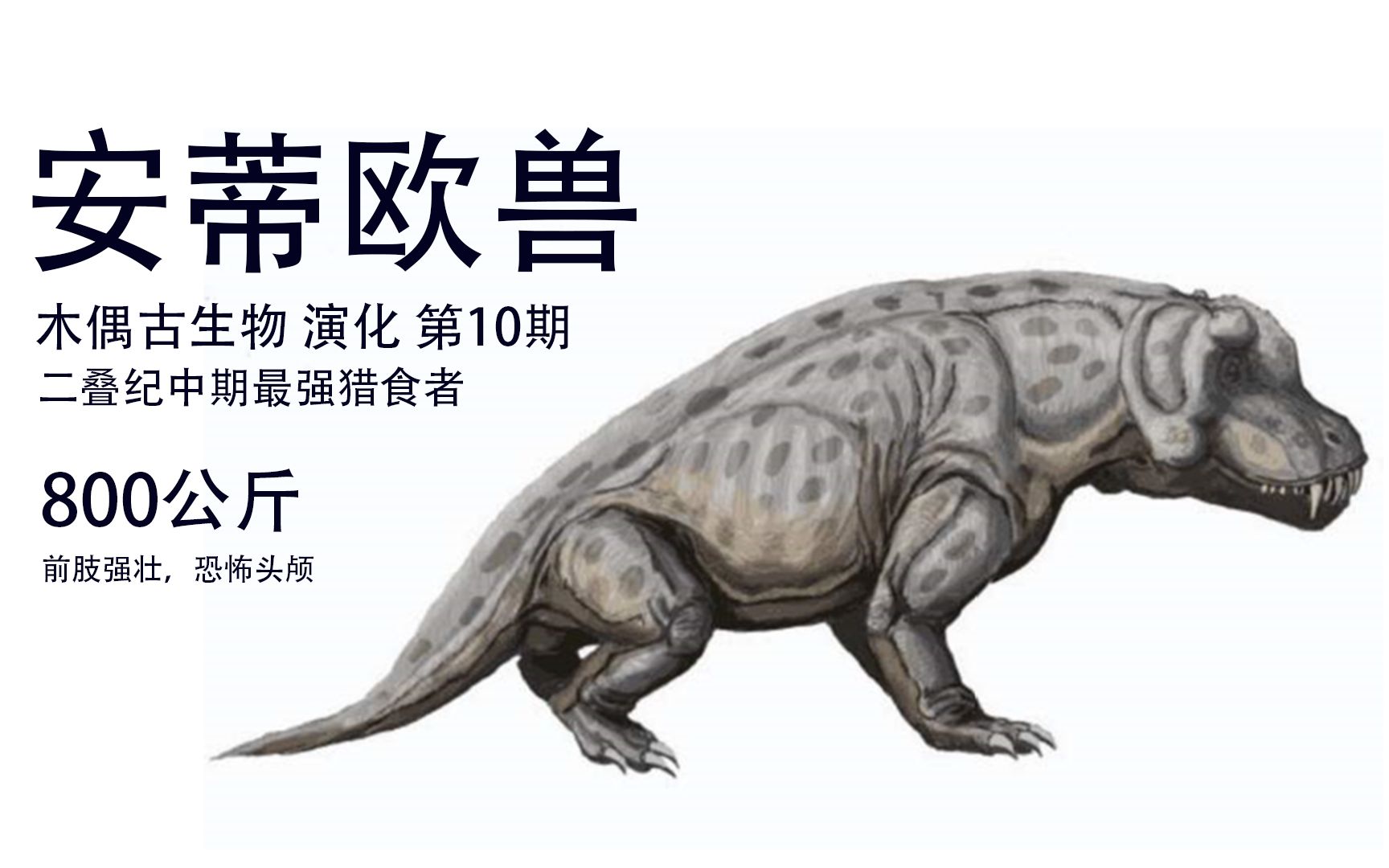 菊石兽_菊石兽_菊石兽