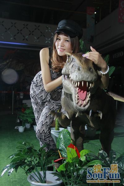 恐龙打狼_恐龙快打_恐龙打一个生肖