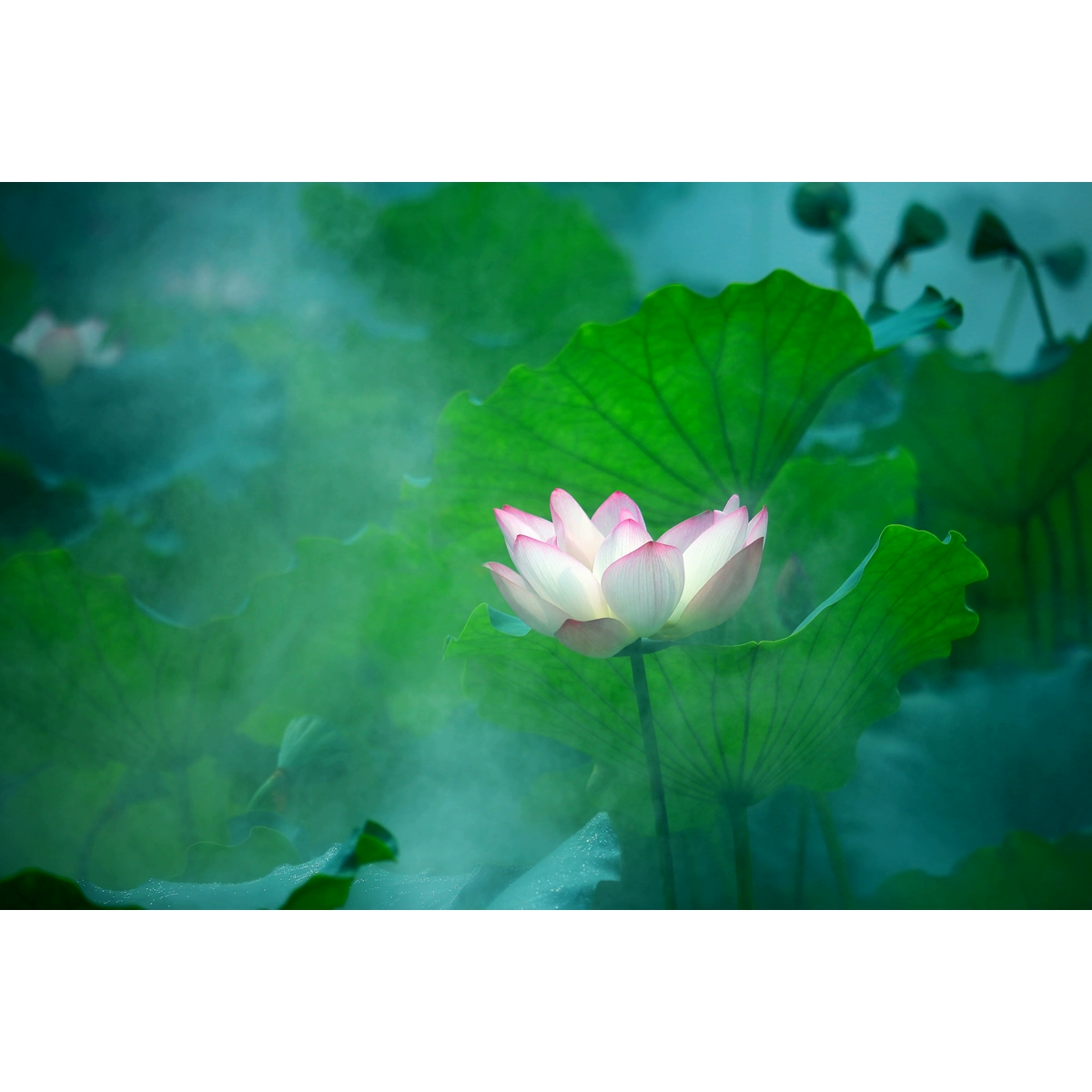 壁纸超级玛丽_壁纸超级壁纸_超级壁纸