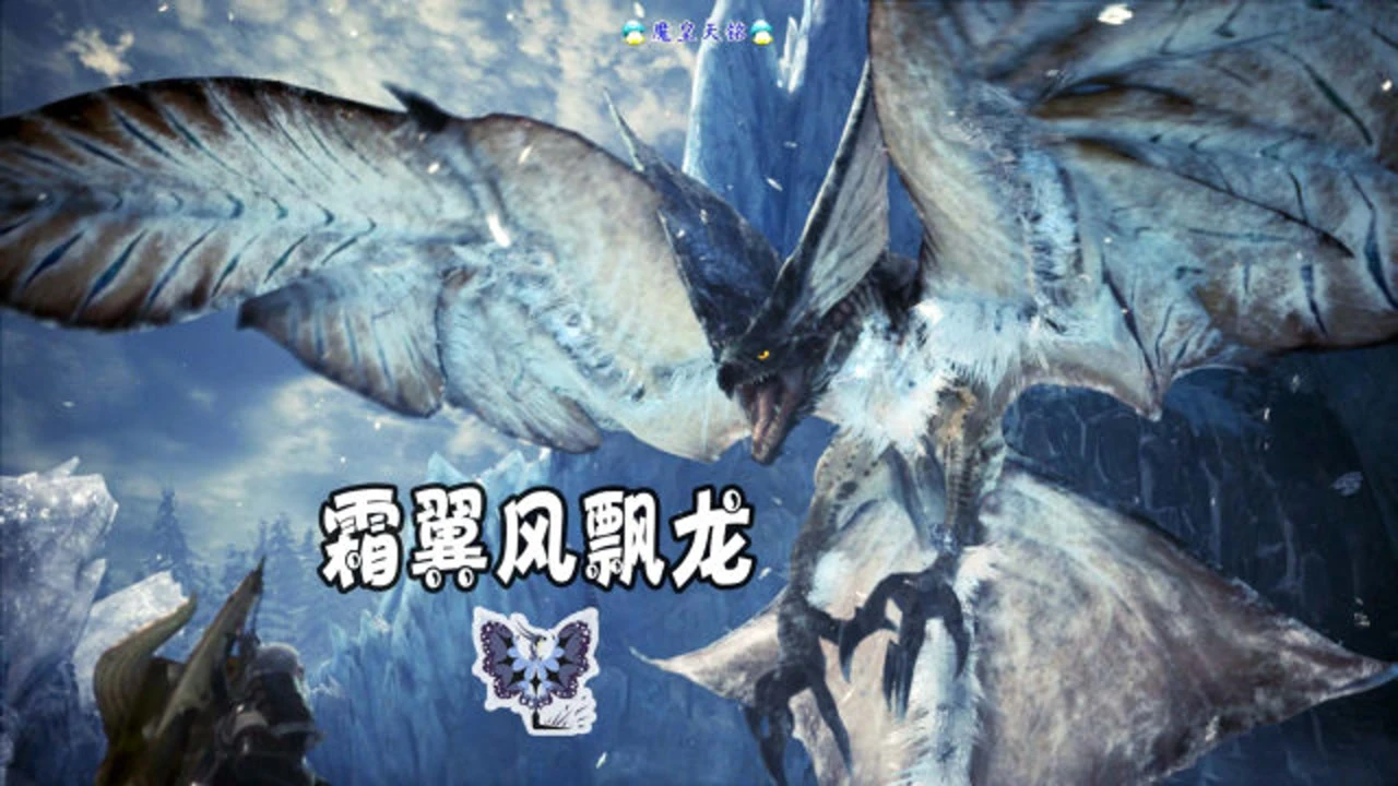 惊艳风漂龙,你曾一睹为快吗? 惊艳风漂龙,你曾一睹为快吗?