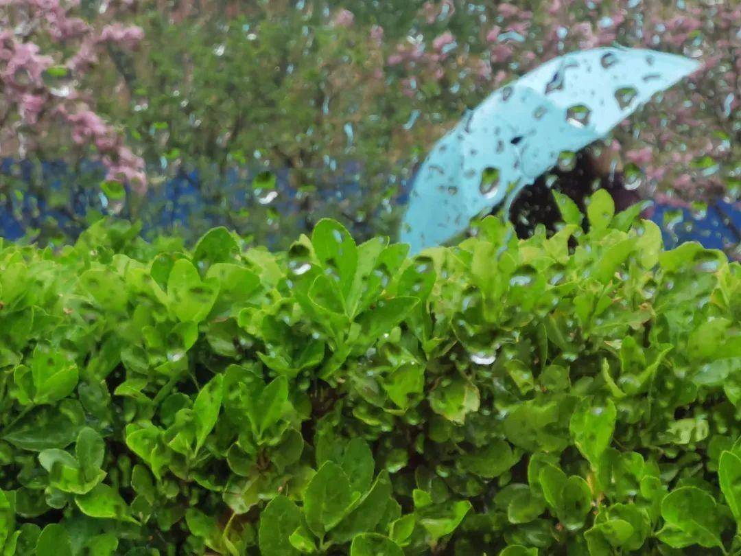 雨蓝：天空中的绝美色彩