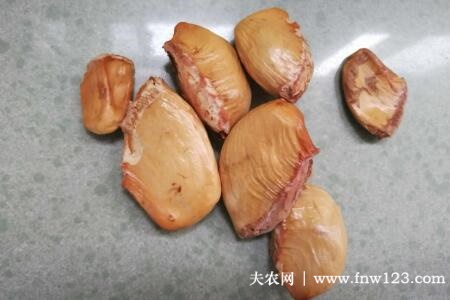 榴莲种子怎么种_榴莲种籽_种植榴莲种子
