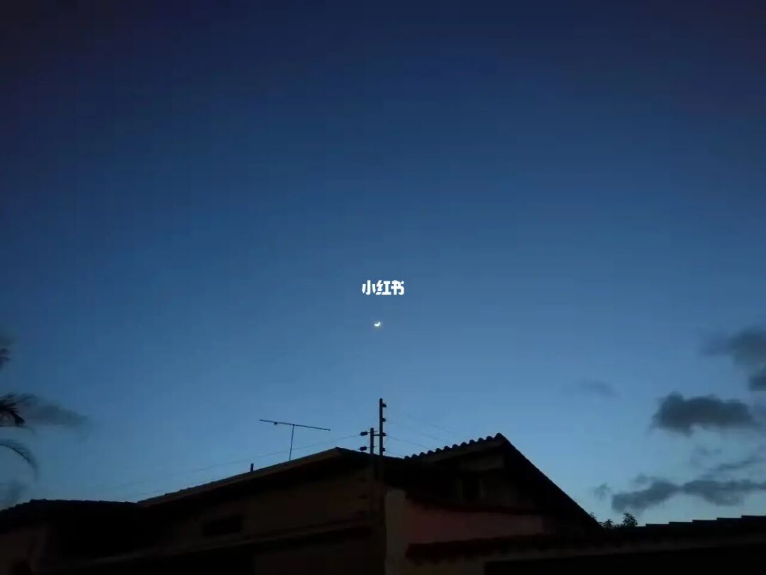 夜闯寂静乐园，与夜伴绝美相约