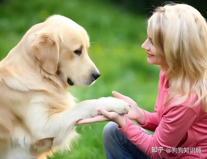 主人命令是绝对的_主人的命令是绝对的_主人命令是不是不能反抗