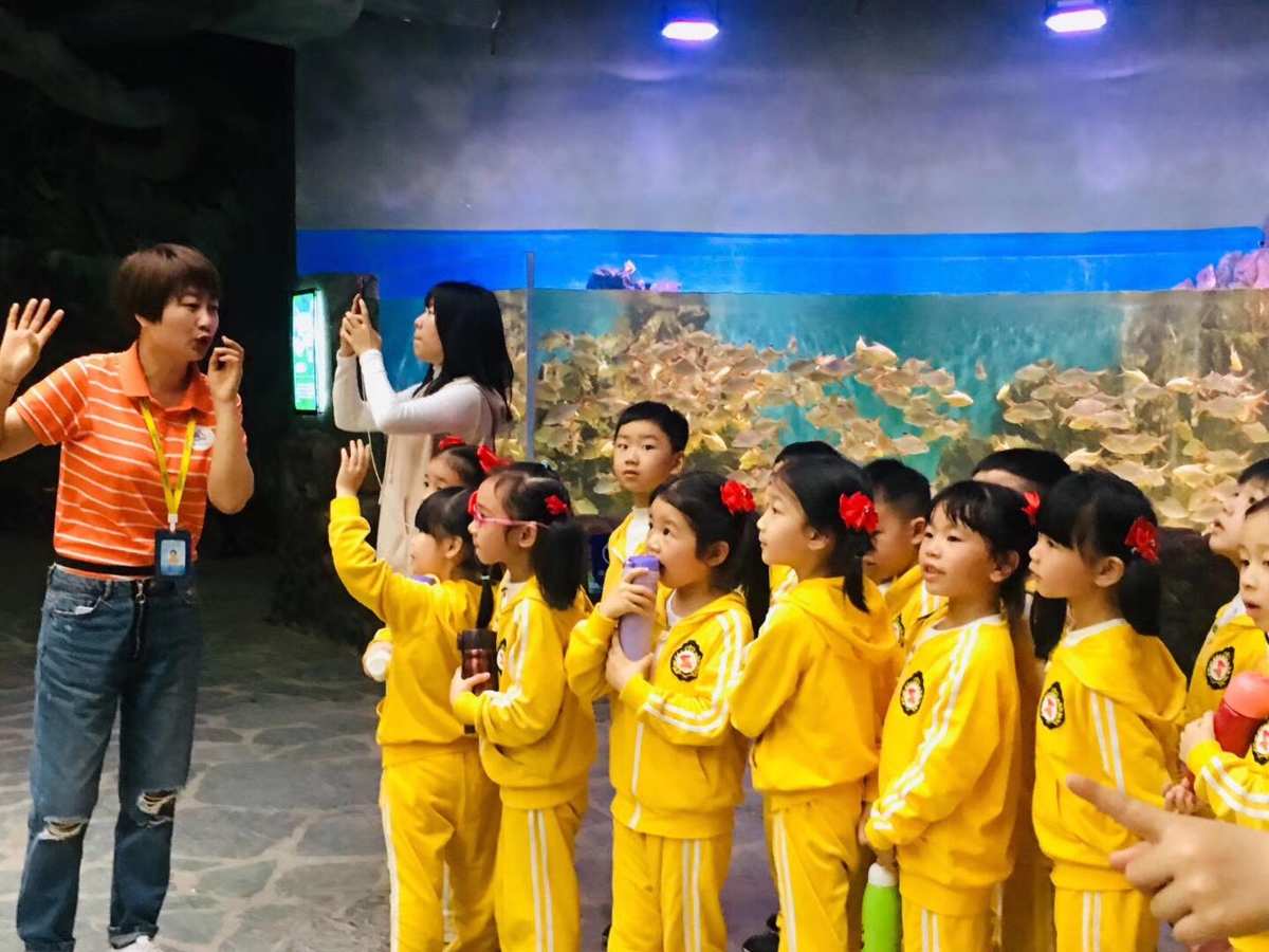 欢迎来到水族馆,探索神奇水中世界 欢迎来到水族馆,探索神奇水中世界