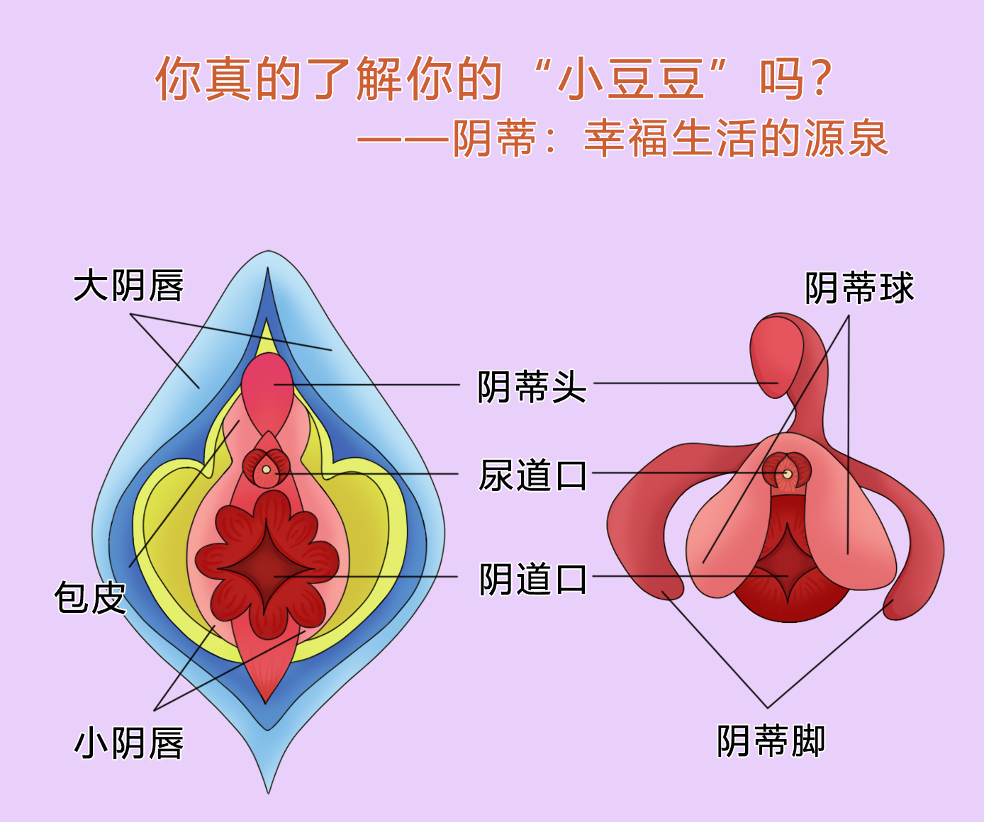 男人说的打豆豆什么意思_男生说豆豆到底啥意思_男生叫豆豆是什么意思