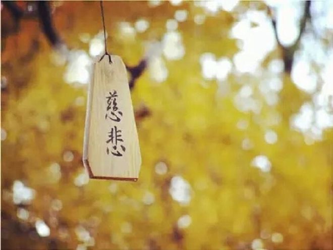 禅师的智慧:内心寻觅与平静之道 禅师的智慧:内心寻觅与平静之道