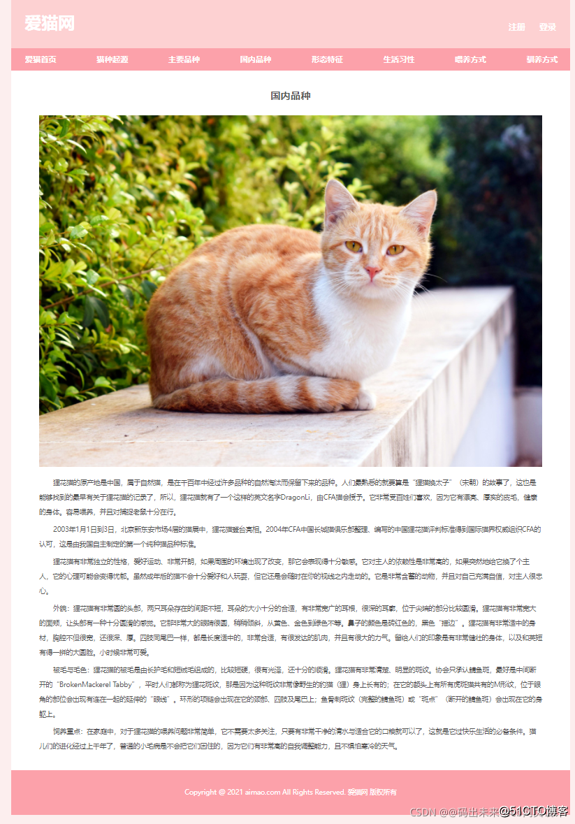 官方猫咪入口，与你见面