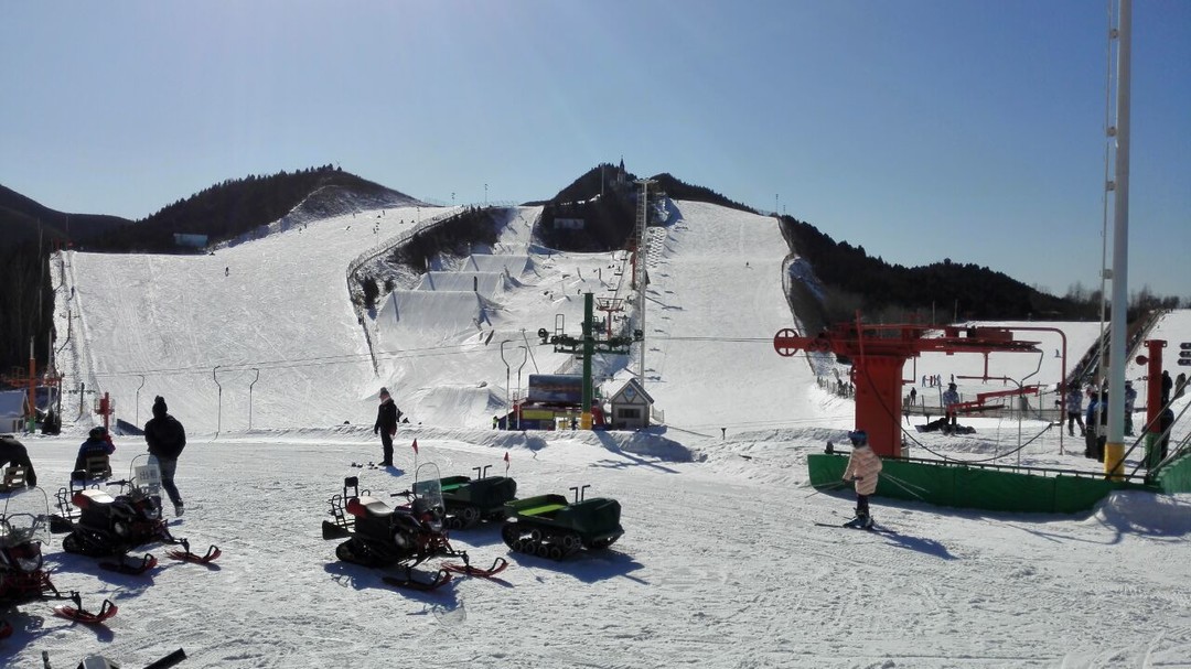 自由滑雪手机游戏_滑雪自由手机游戏推荐_好玩的滑雪手机游戏