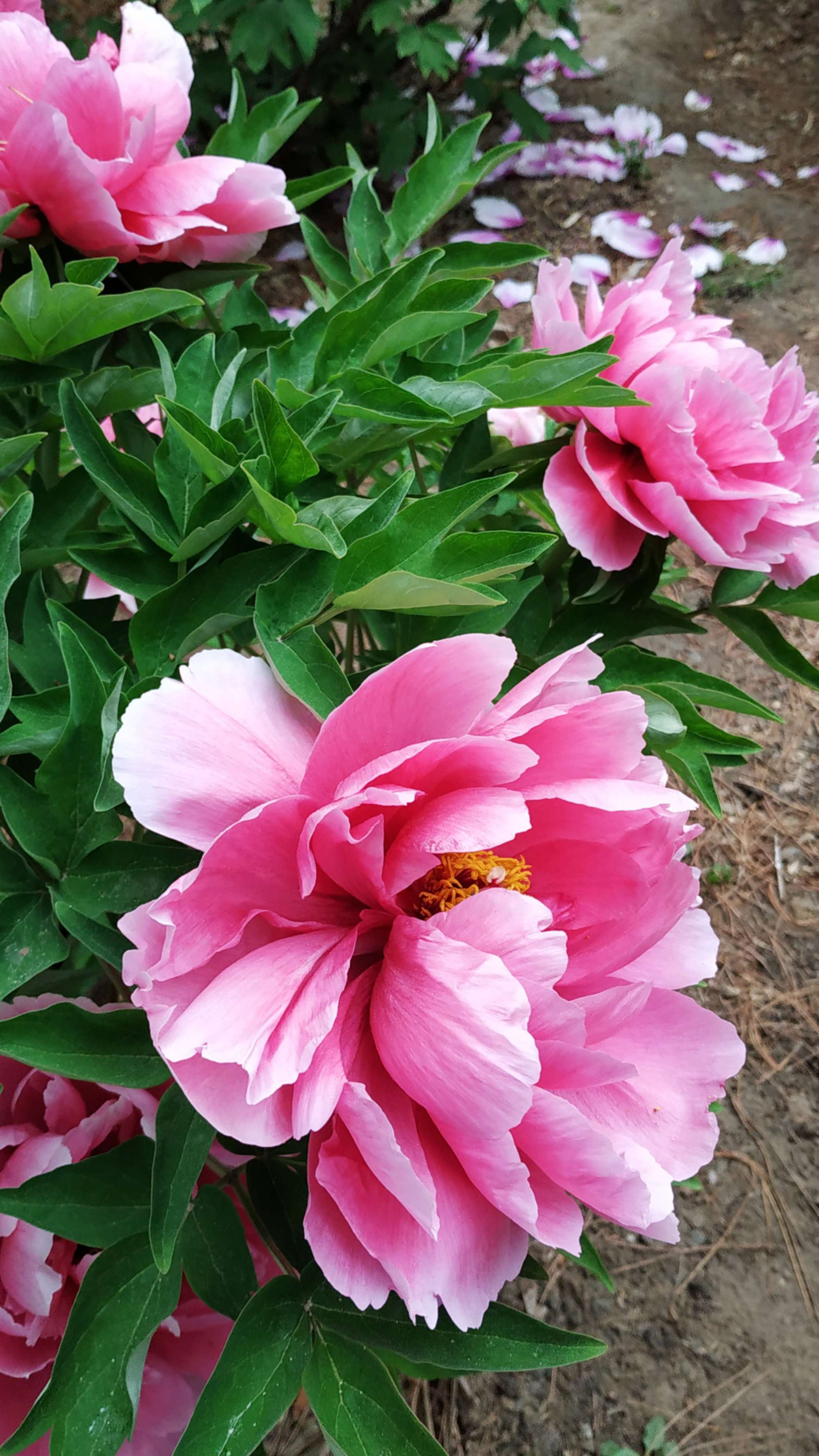 花花社区_花花社区_花花社区