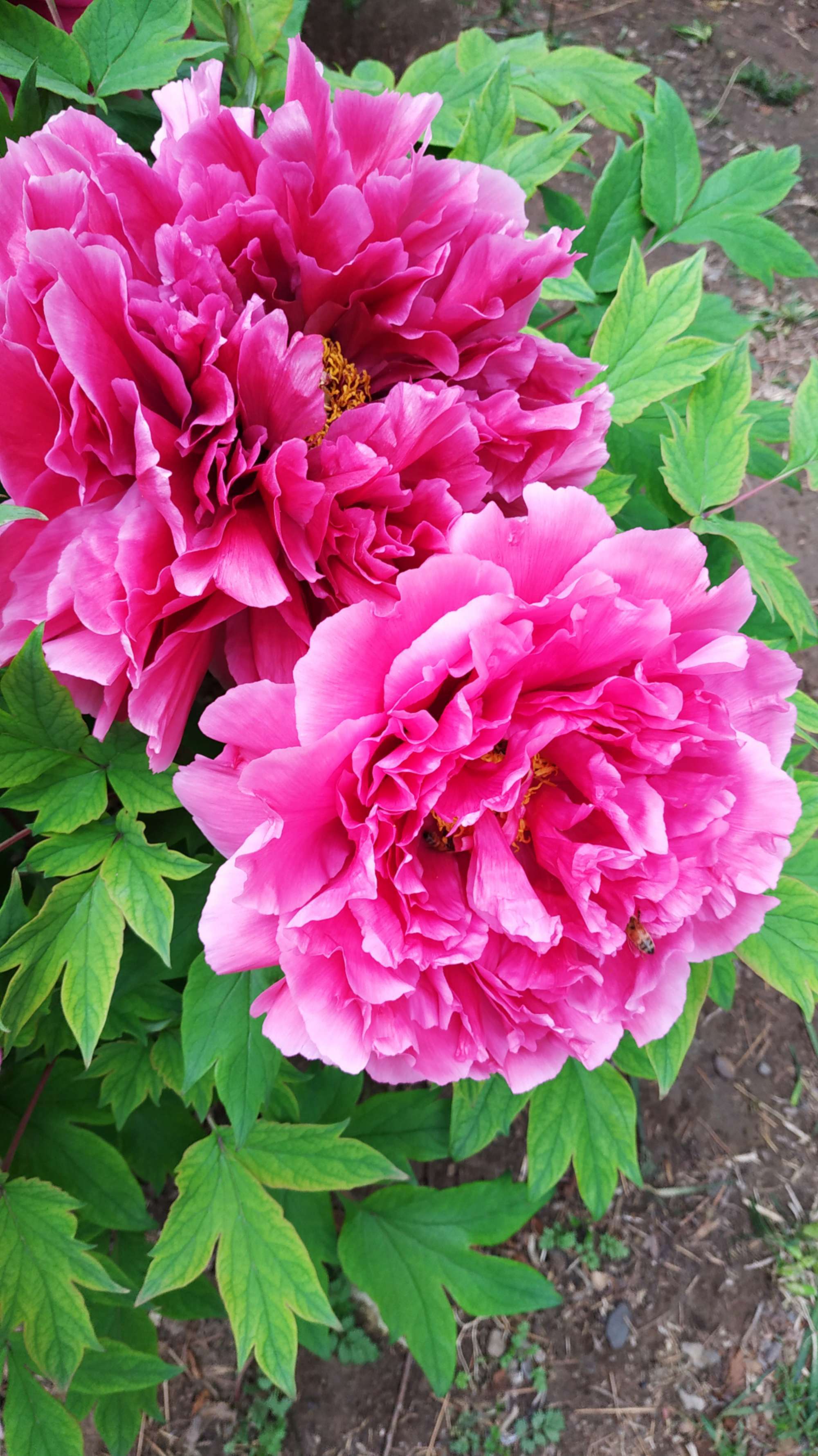 花花社区_花花社区_花花社区
