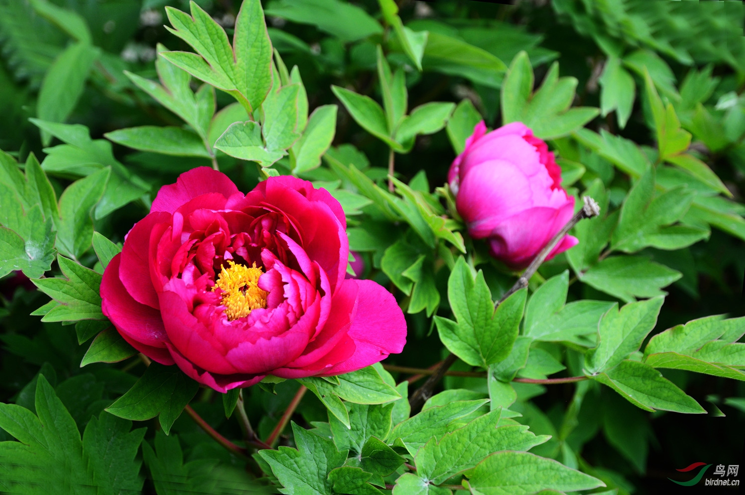 花花社区_花花社区_花花社区