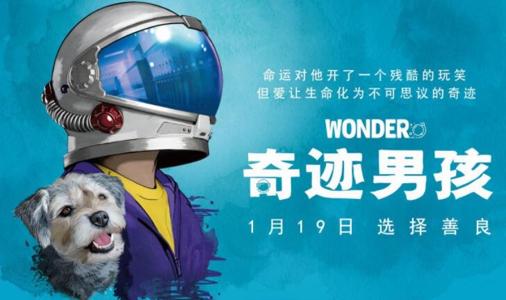 奇迹男孩下载全攻略,安全下载渠道大揭秘 奇迹男孩下载全攻略,安全下载渠道大揭秘
