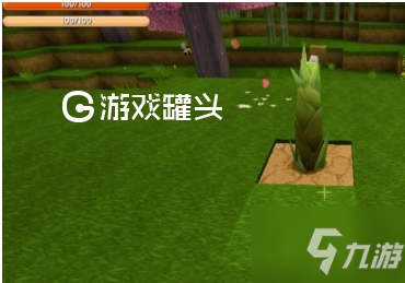 竹子社手机游戏列表_竹子游戏手机版_竹子游戏解说