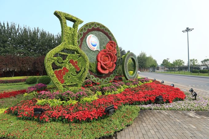 三色堇的花语_三色堇_三色堇的图片