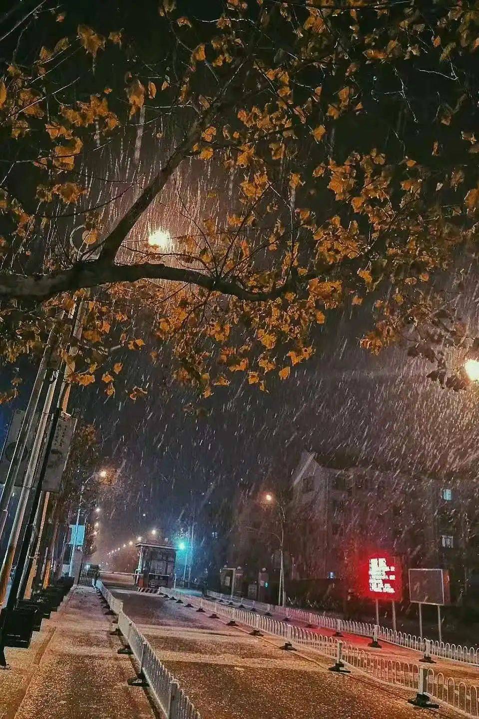 冬恋歌词_冬之恋歌_冬恋歌曲