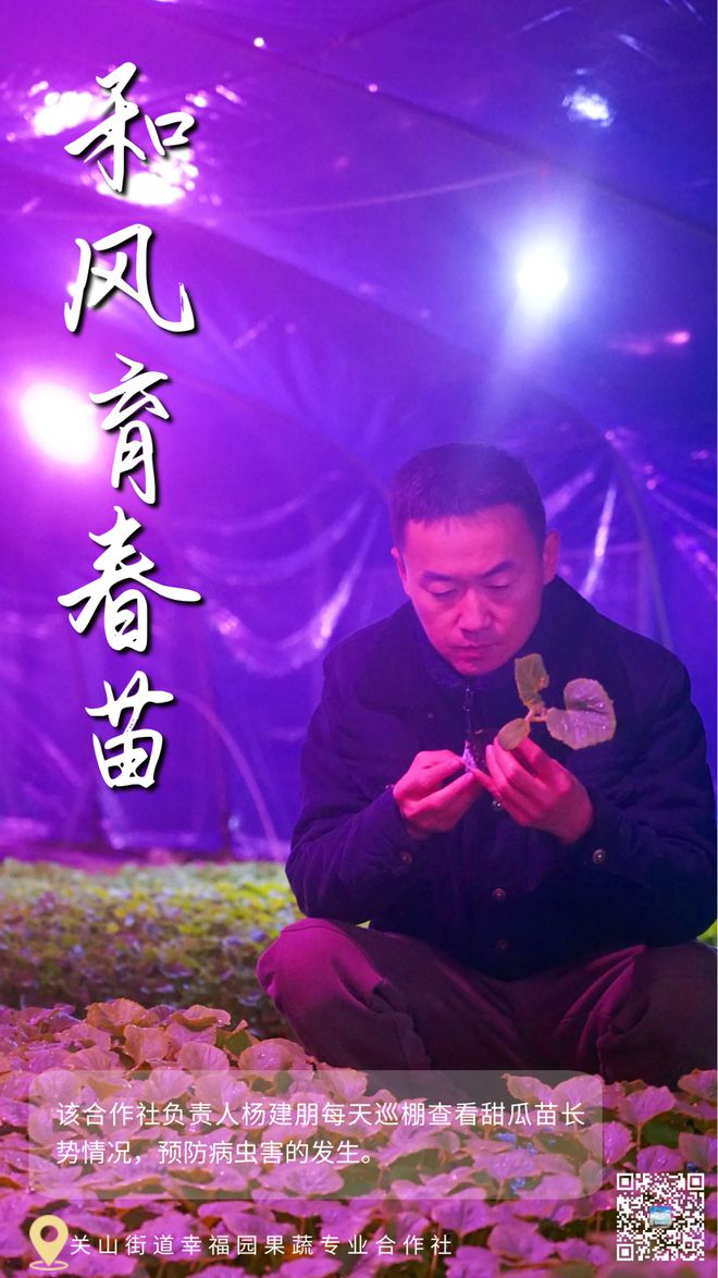 南奈津乃：神秘森林探秘，海鲜美食盛宴