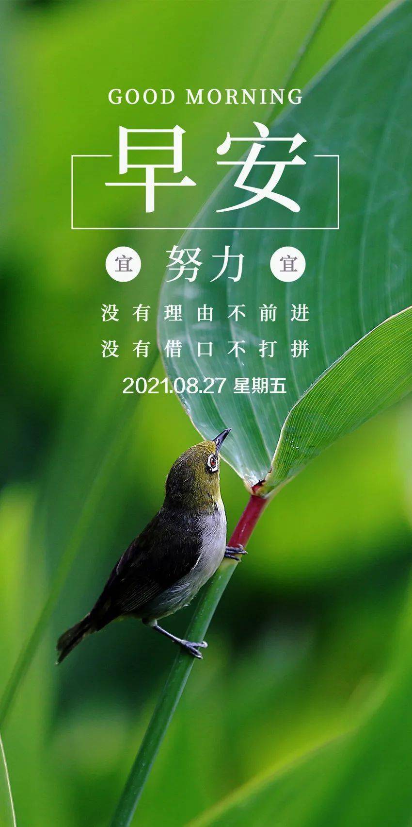 今天几月几号_今天月什么_今天8月5号是什么日子