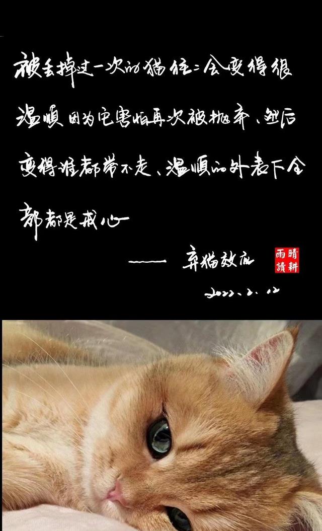 椎名唯华_椎名唯华_椎名唯华