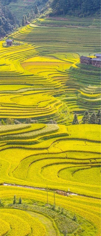 山形杜牧_山形建_山形