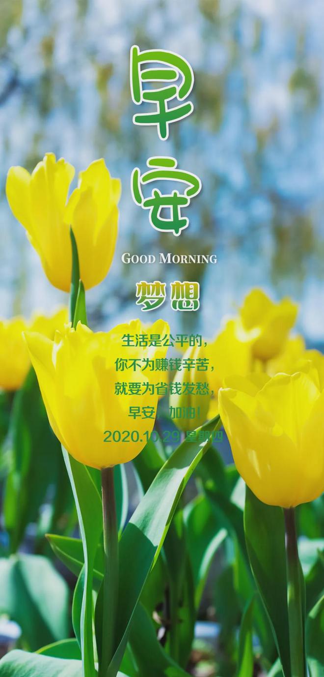 鸟之诗-清晨窗外，小鸟鸣唱，唤醒生活的美好与哲理