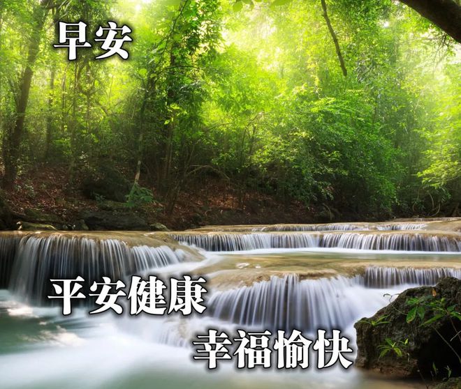 鸟之诗乐谱_鸟之诗_鸟之诗钢琴曲简谱