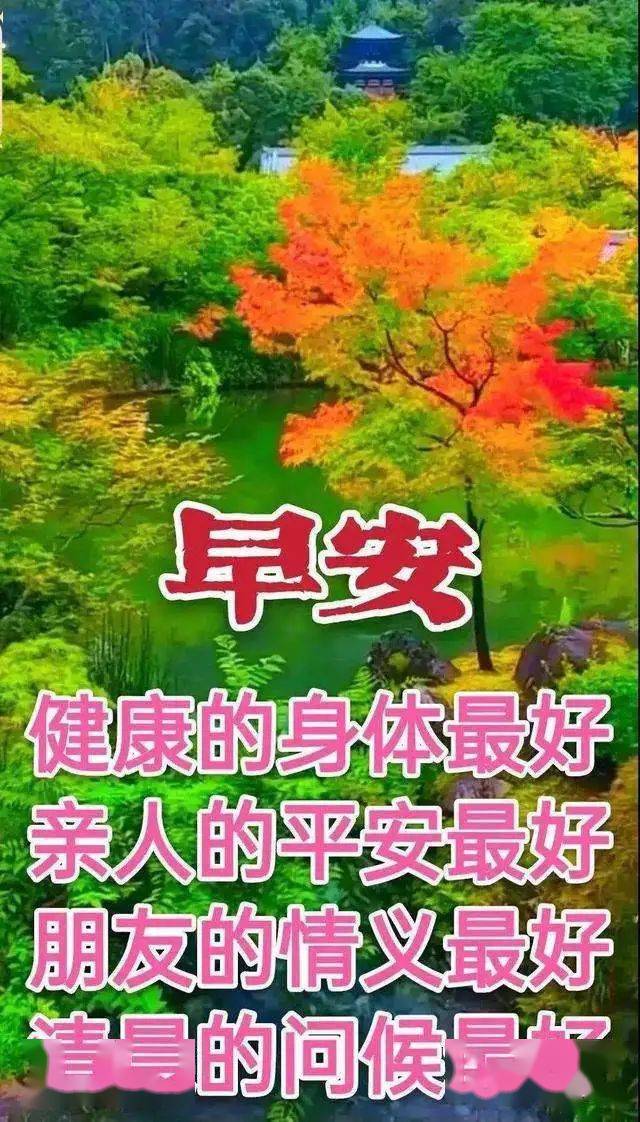 鸟之诗乐谱_鸟之诗_鸟之诗钢琴曲简谱