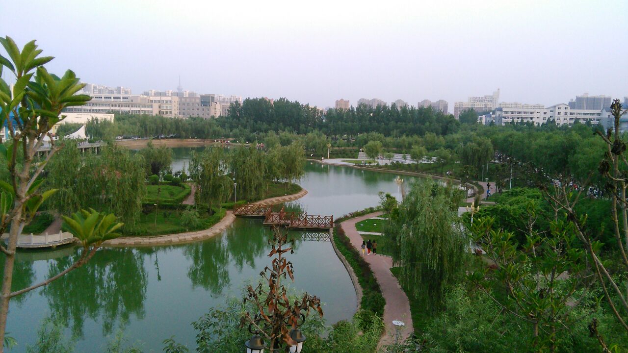 周口卖手机游戏的地方_周口手机市场_周口卖游戏手机