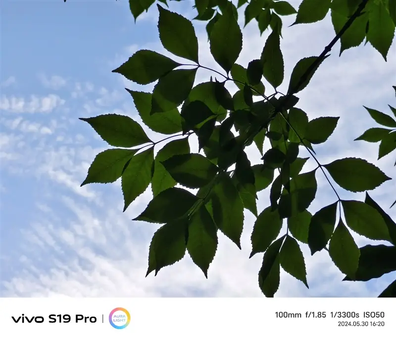 买手机玩游戏哪个好_玩游戏和日常买哪个手机好_日常买玩手机好游戏的软件