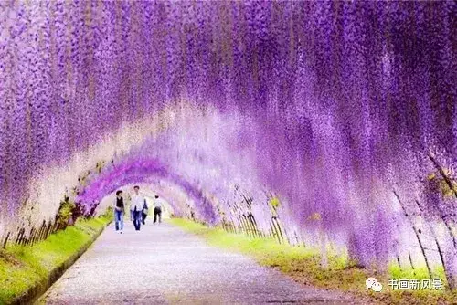 四条贵音_四条贵音_四条贵音