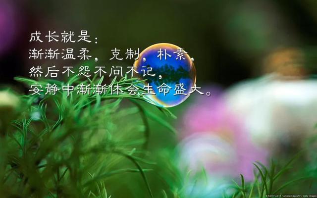 自由国度_自由国度游戏_自由国度是什么网站