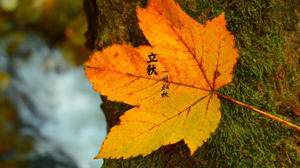 立秋节气的特点和风俗_风俗节气立秋特点有哪些_立秋节气的特点