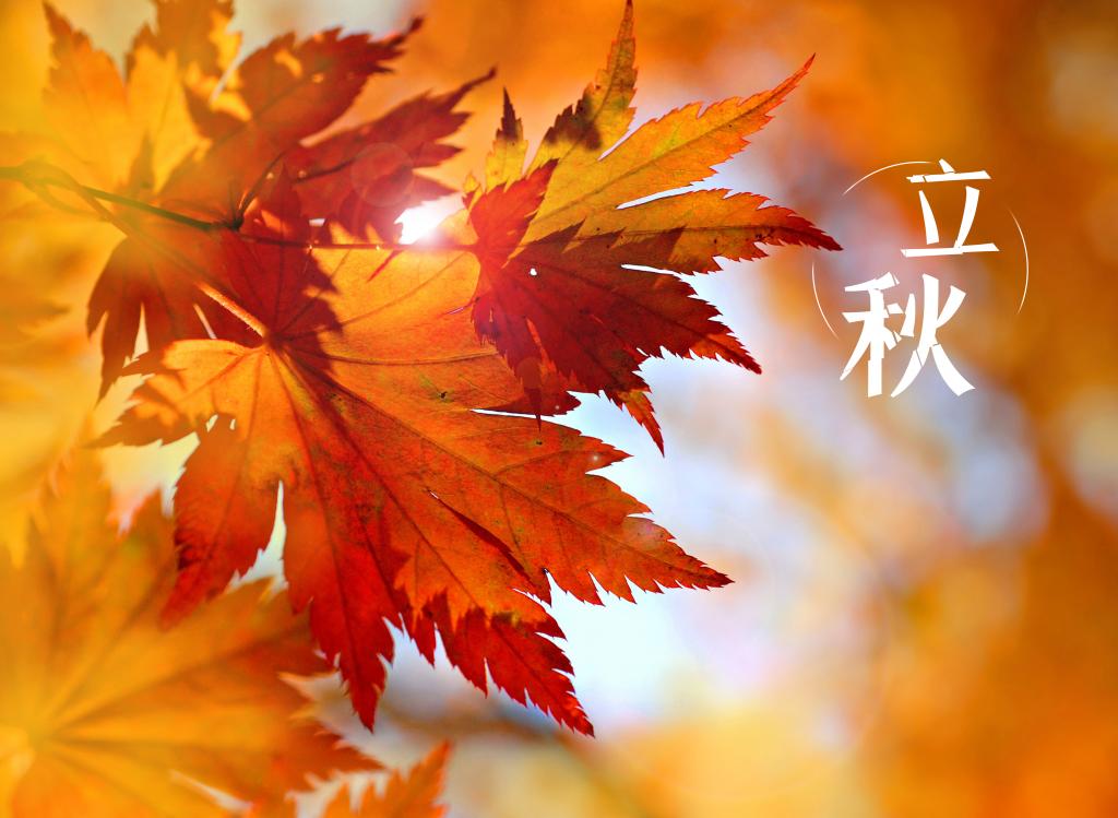 立秋节气的特点和风俗_风俗节气立秋特点有哪些_立秋节气的特点