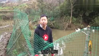 粪作恋爱游戏下载 