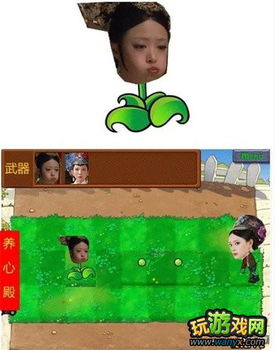 华妃要合体 