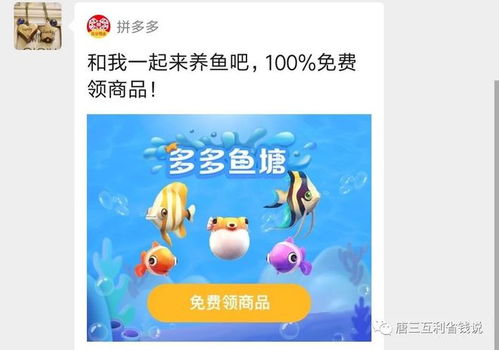 多鱼 