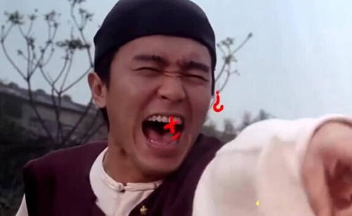 鸟之交响 