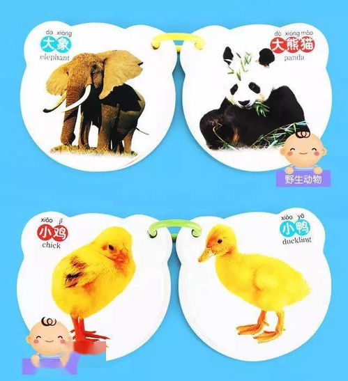 浅浅女王梦游戏在线玩 