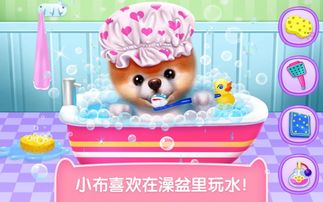 小布小布 
