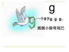 小蝌蚪影视免费版下载安装 