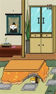帮奶奶找猫 